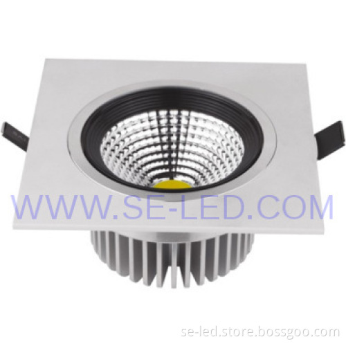 Recessed 220V Warm White LED Down Light